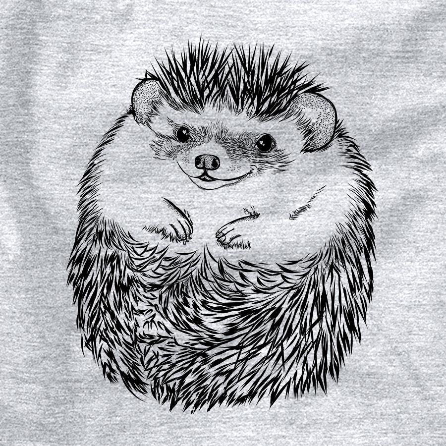 Sid the Hedgehog