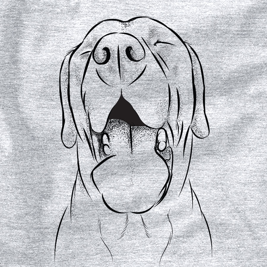 Silly Lilly the Labrador Retriever