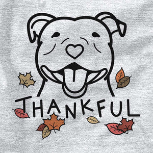 Thankful Happy American Staffordshire Terrier
