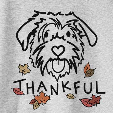 Thankful Amal the Scottish Terrier Border Collie Mix