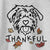 Thankful Amal the Scottish Terrier Border Collie Mix