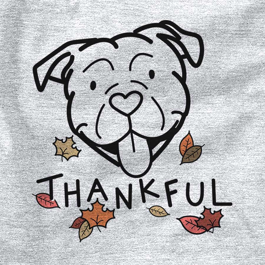 Thankful American Bulldog