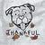 Thankful American Bulldog