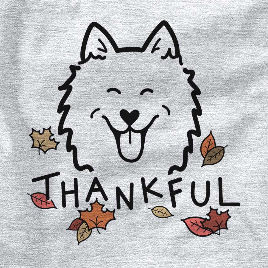 Thankful American Eskimo