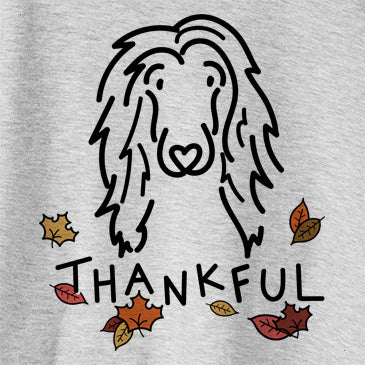 Thankful Asher the Afghan Hound