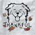 Thankful Australian Shepherd