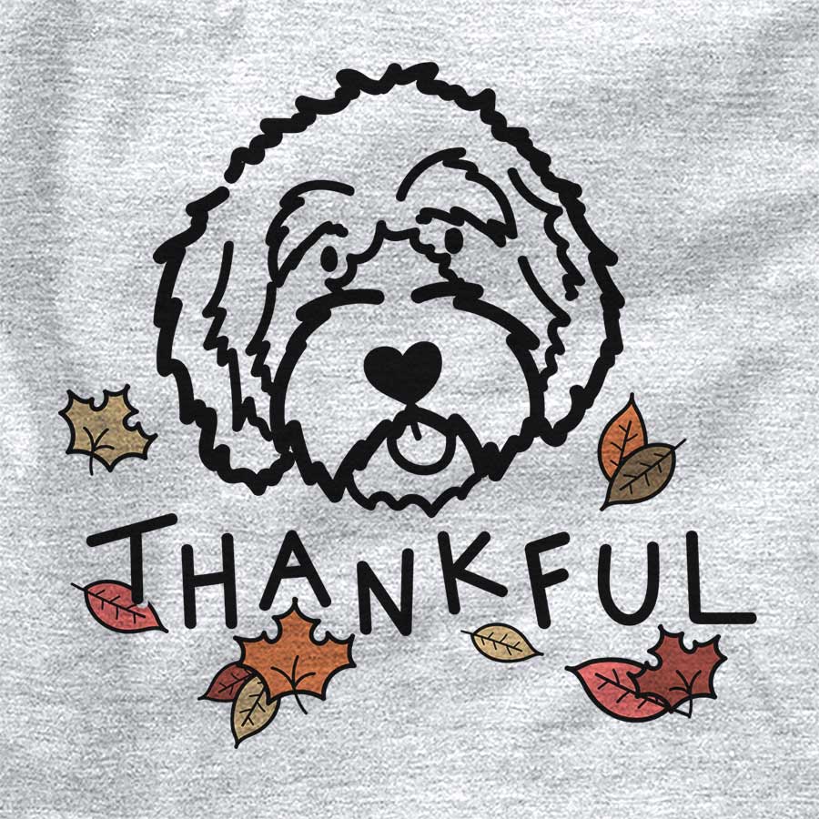 Thankful Aussiedoodle