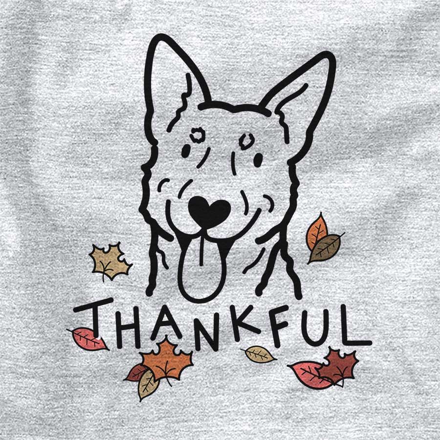 Thankful Australian Cattle Dog