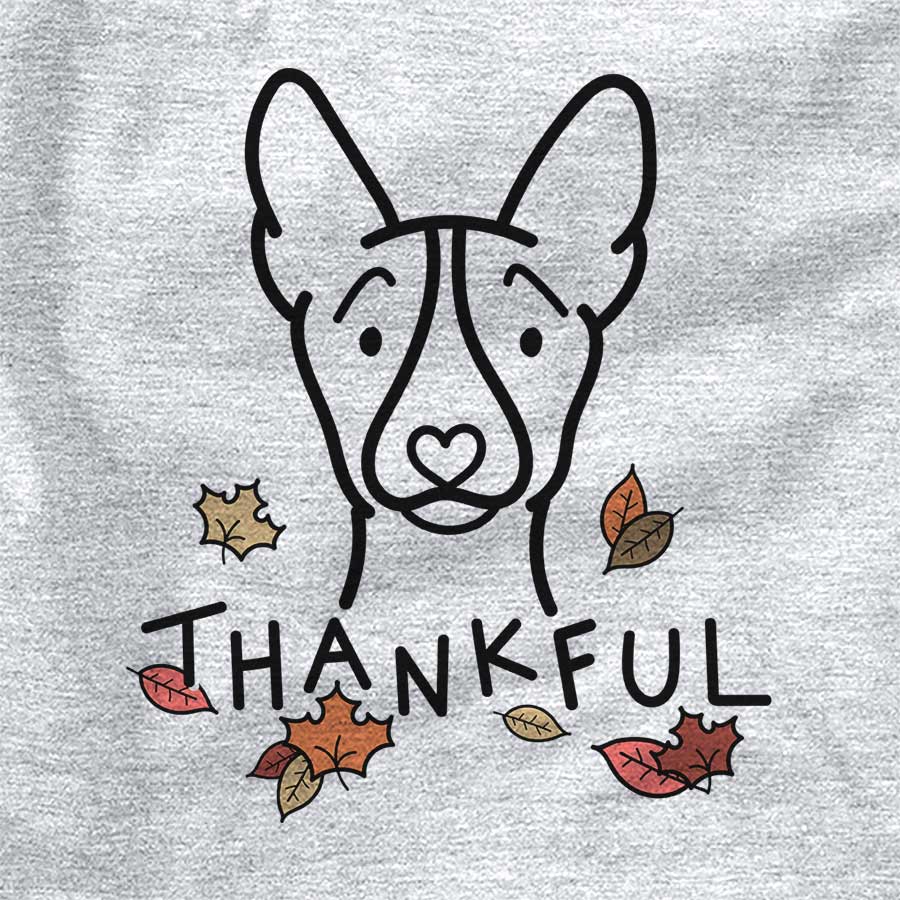 Thankful Basenji