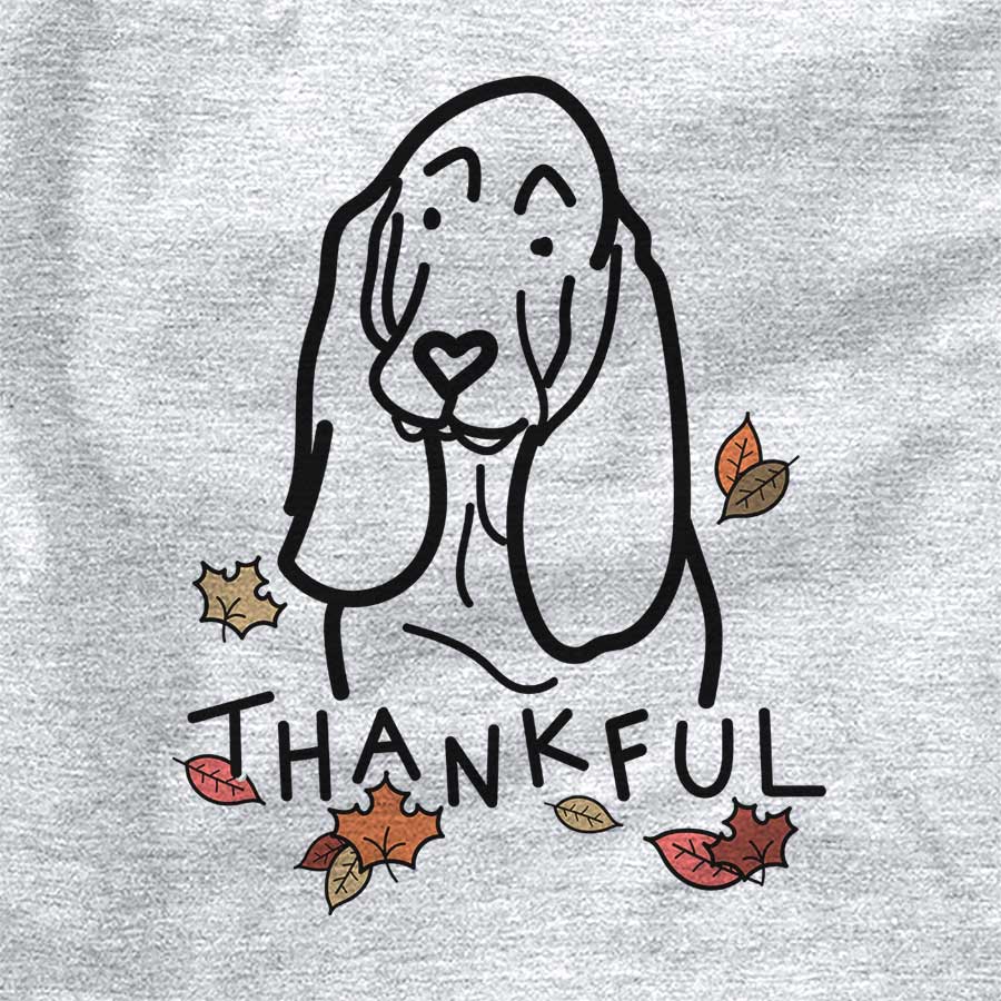 Thankful Basset Hound