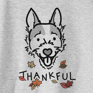 Thankful Baxter the Jack Russell Terrier