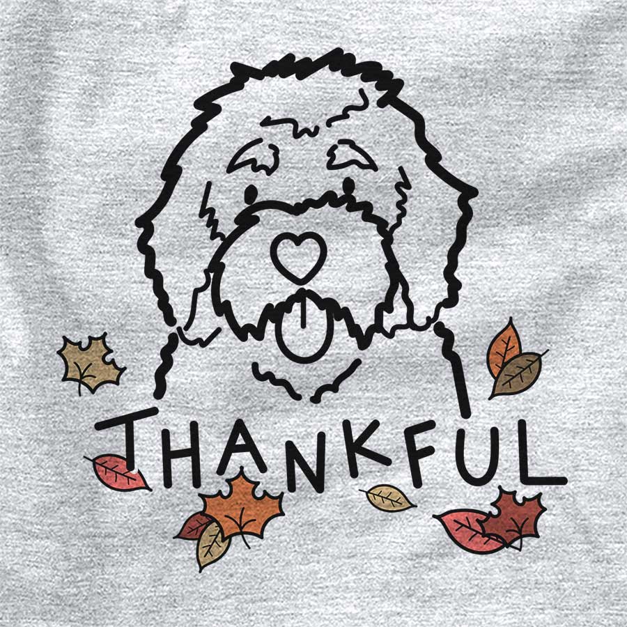 Thankful Bernedoodle