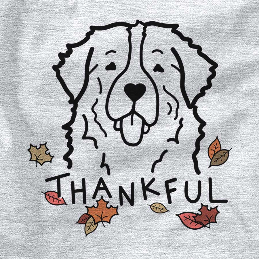 Thankful Bernese Mountain Dog
