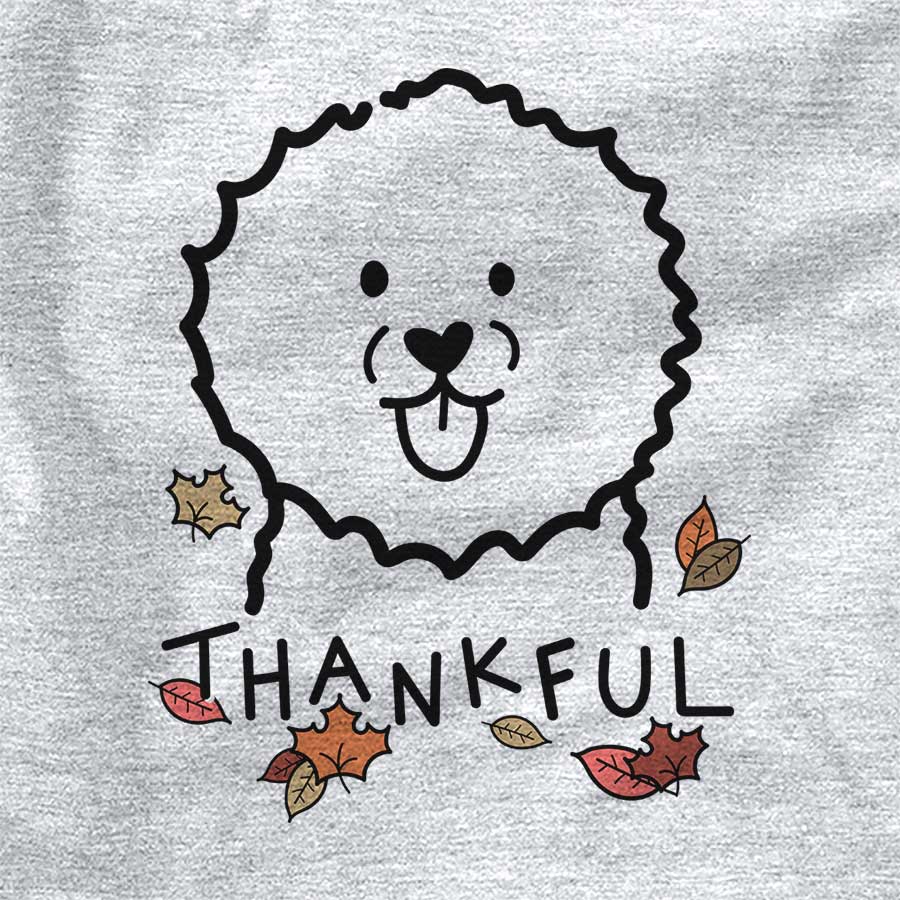 Thankful Bichon Frise