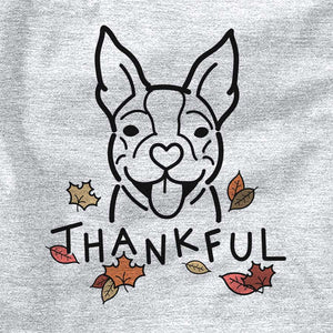 Thankful Happy Boston Terrier