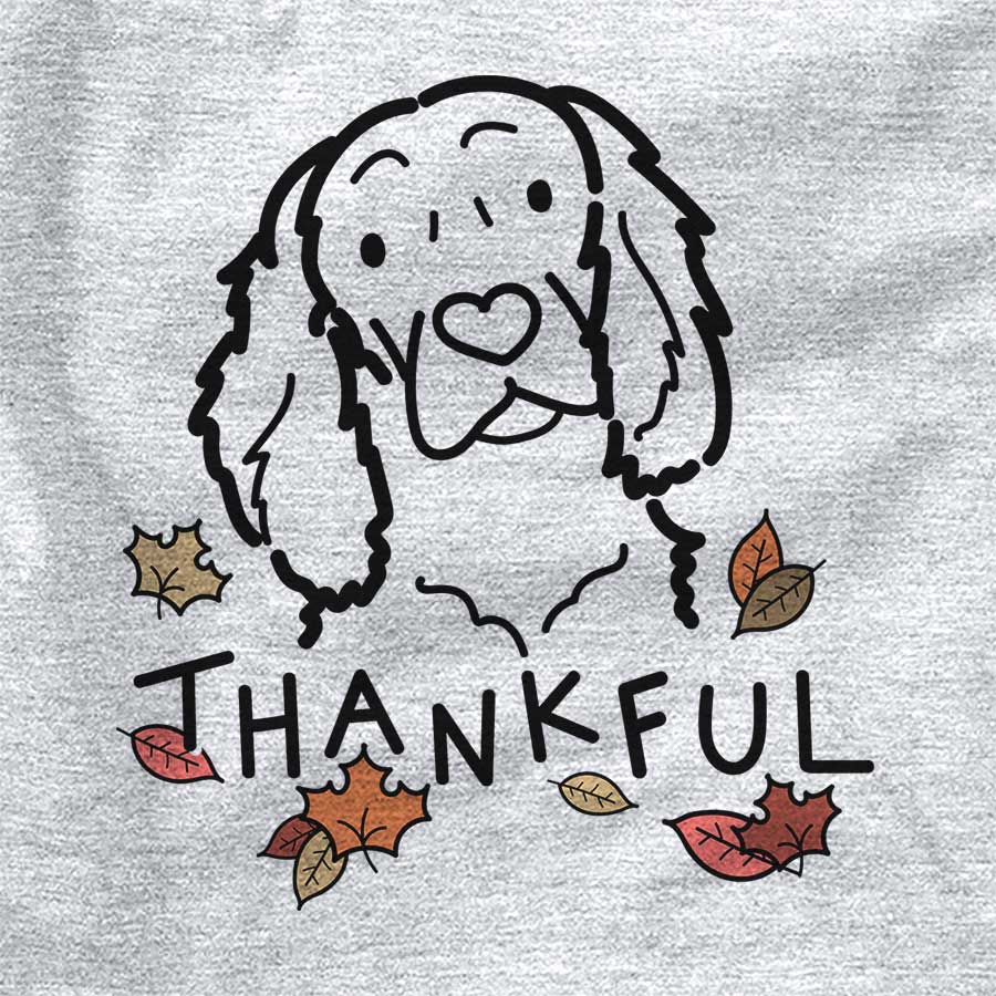 Thankful Boykin Spaniel