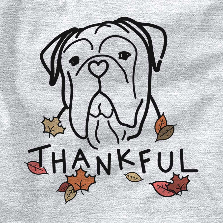 Thankful Bull Mastiff