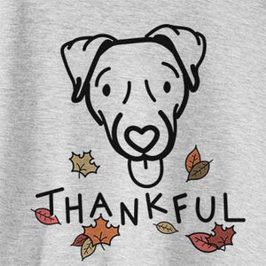 Thankful Cammy the Jack Russell Terrier