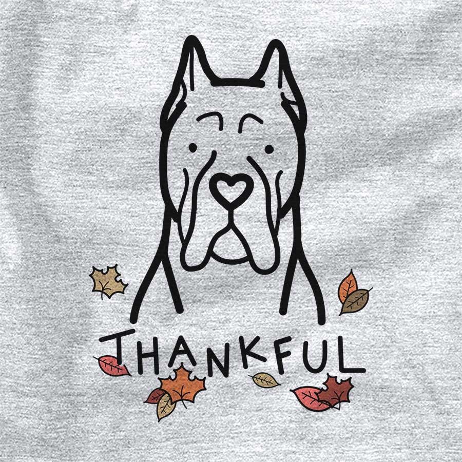 Thankful Cane Corso