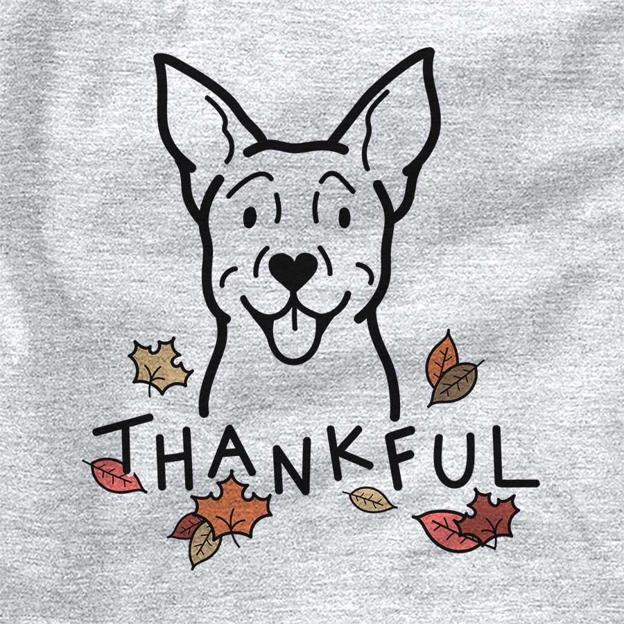 Thankful Carolina Dog