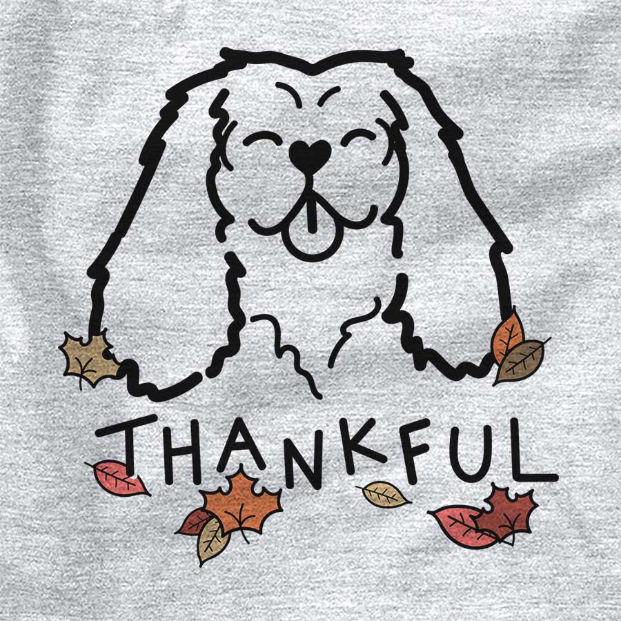 Thankful Cavalier King Charles Spaniel