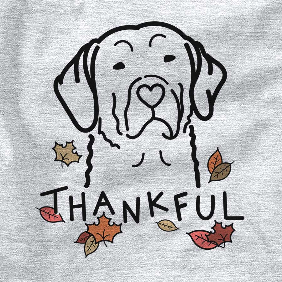 Thankful Chesapeake Bay Retriever