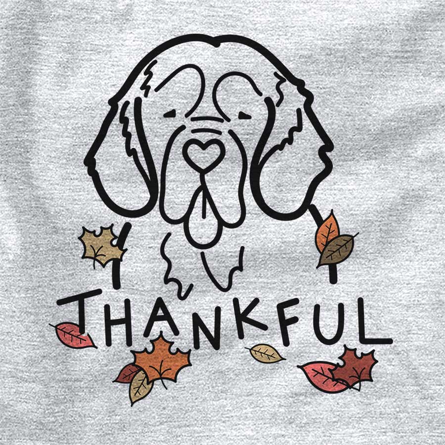 Thankful Clumber Spaniel