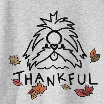Thankful CoCo the Shih Tzu