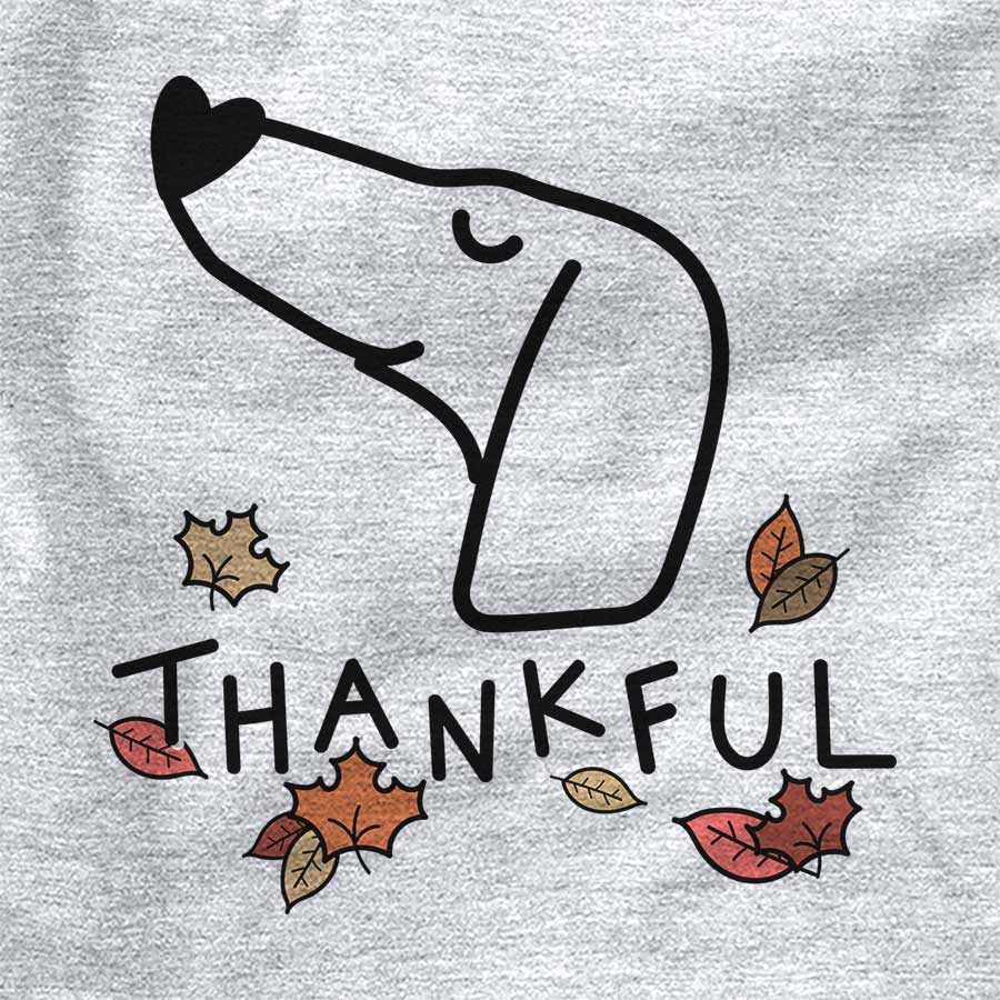 Thankful Dachshund