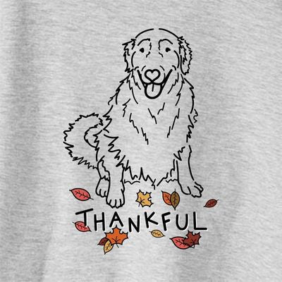 Thankful Daisy the Golden Retriever