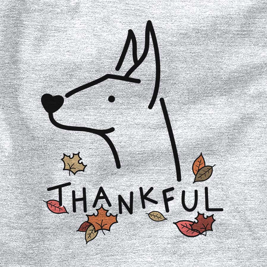 Thankful Doberman Pinscher