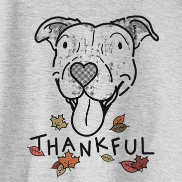 Thankful Dottie the Pitbull Mix