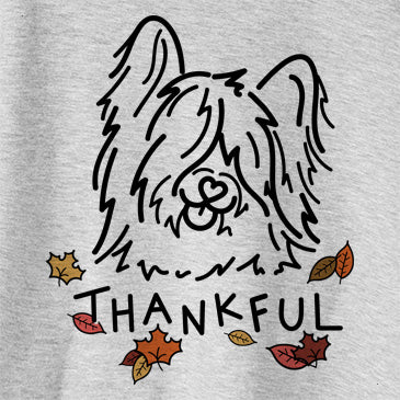 Thankful Dougal the Skye Terrier