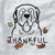 Thankful English Mastiff