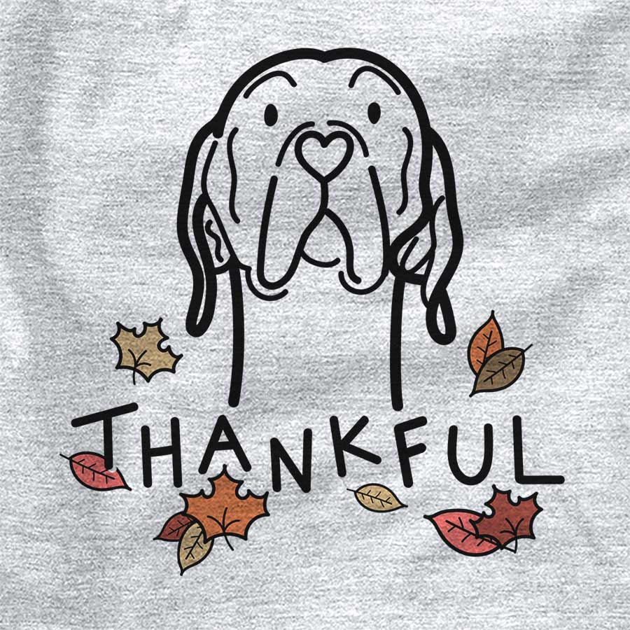 Thankful English Pointer