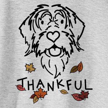 Thankful Gary the Wirehaird Pointing Griffon