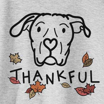 Thankful Genevieve the Dogo Argentino