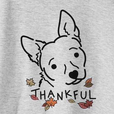 Thankful GiGi the Chihuahua Mix