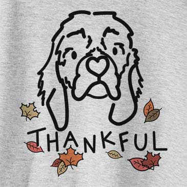 Thankful GiGi the Cocker Spaniel