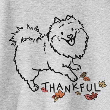 Thankful Goldie the Pomeranian Mix