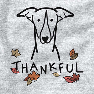 Thankful Greyhound