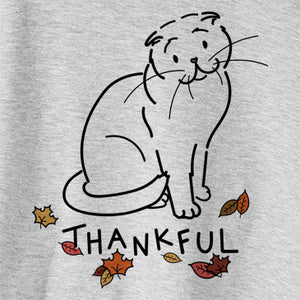 Thankful Hank the Scottish Fold Cat