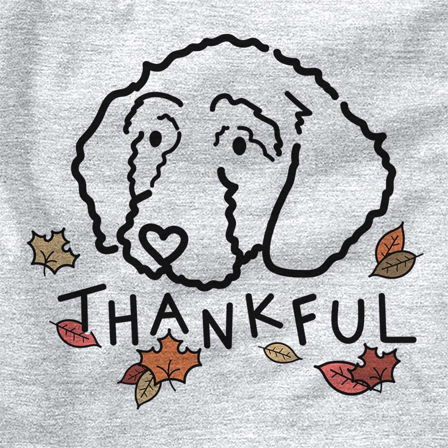 Thankful Hanna the Goldendoodle