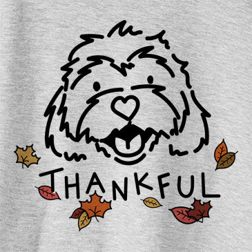 Thankful Harry the Cavachon