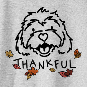 Thankful Harry the Cavachon