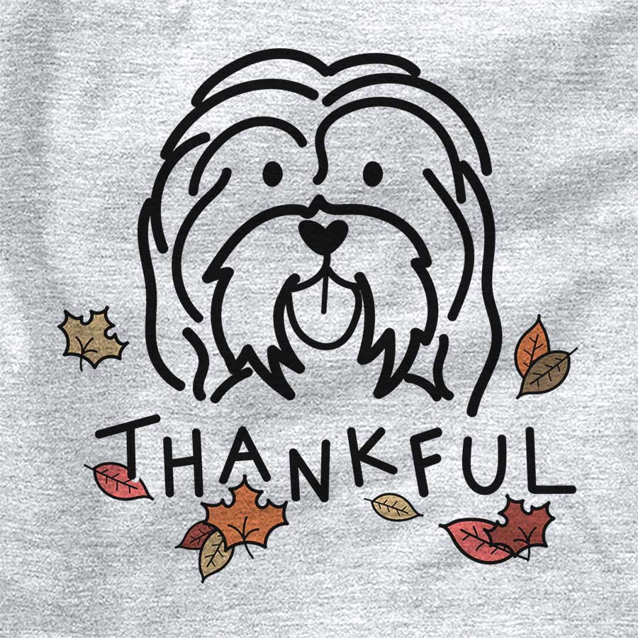 Thankful Havanese