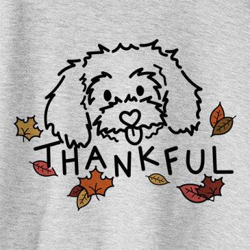 Thankful Holly the Maltipoo