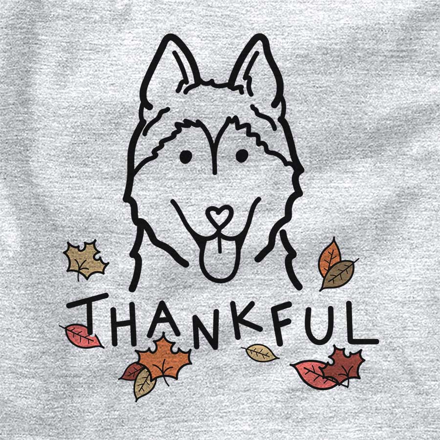 Thankful Siberian Husky