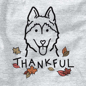 Thankful Siberian Husky