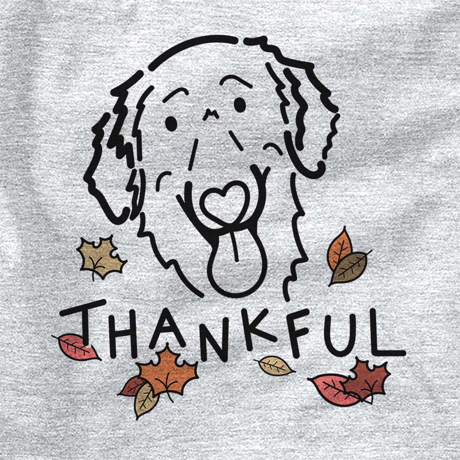 Thankful Jack the Flat-Coated Retriever